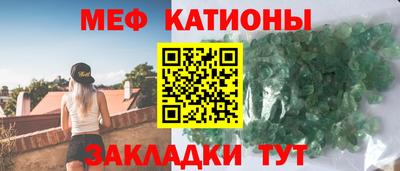 шишки Дубна
