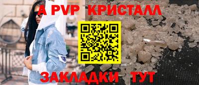шишки Дубна