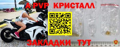 шишки Дубна