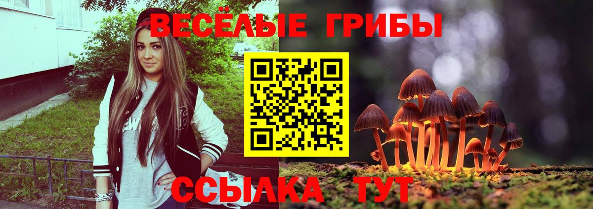 Шелехов  Псилоцибиновые грибы MAGIC MUSHROOMS  Вход с VPN  Галлюциногенные грибы Psilocybine cubensis 