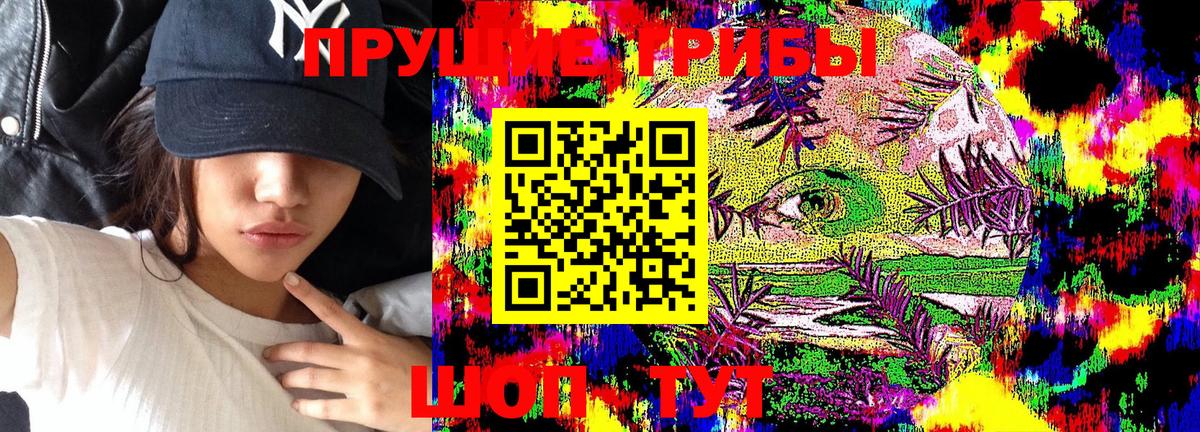 Псилоцибиновые грибы MAGIC MUSHROOMS Шелехов